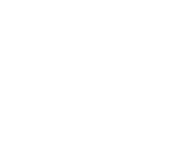 Torelli Properties Group